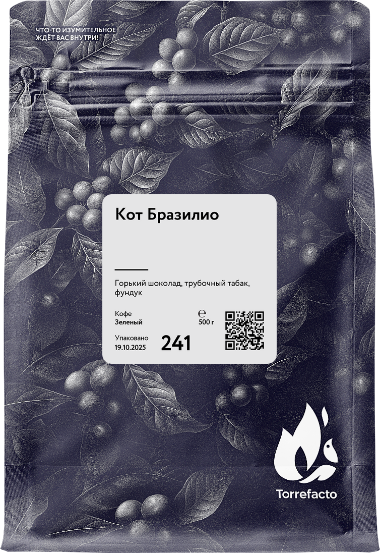 Кот Бразилио