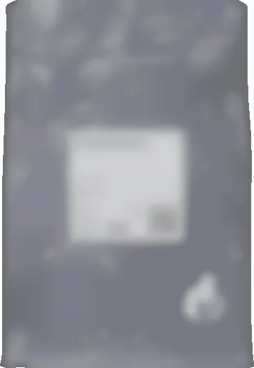 Кот Бразилио