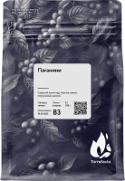 Паганини