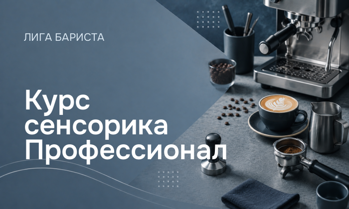 Курс сенсорика Профессионал