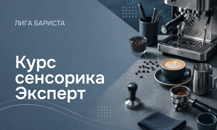 Курс сенсорика Эксперт