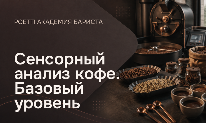 Сенсорный анализ кофе. Базовый уровень