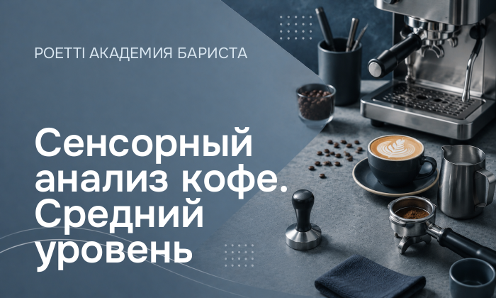 Сенсорный анализ кофе. Средний уровень