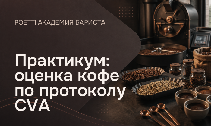 Практикум: оценка кофе по протоколу CVA