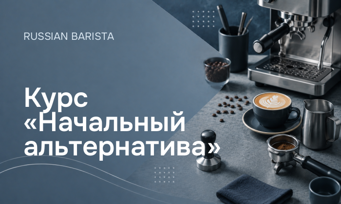 Курс «Начальный альтернатива»