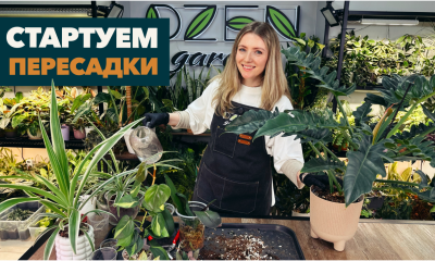 цуауц ауца уц