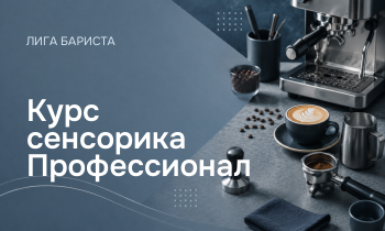 Курс сенсорика Профессионал