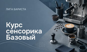 Курс сенсорика Базовый