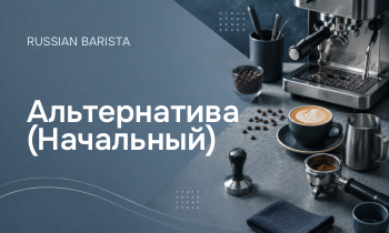 Альтернатива (Начальный)