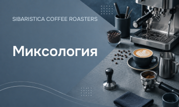 Миксология