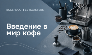 Введение в мир кофе