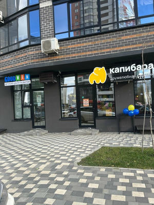 Заведение Капибара на фото