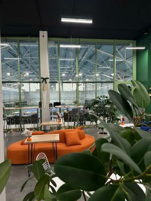 Заведение Kerry Coffee Club на фото