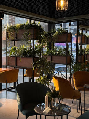 Заведение Zerna на фото