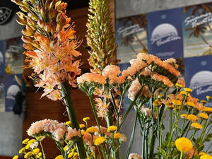 Заведение Surf Coffee на фото