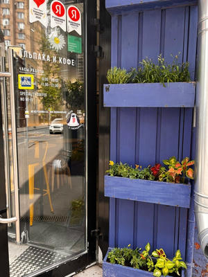 Заведение Альпака и кофе на фото