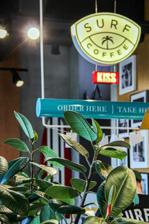 Заведение Surf Coffee на фото